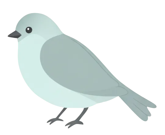  staging finalbird2 (1)
