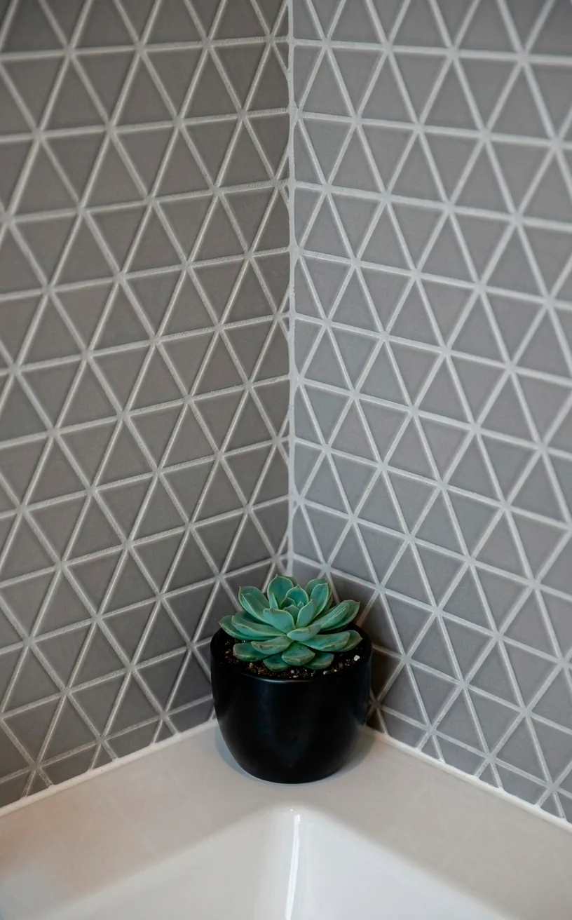 Succulent in a black pot against a grey triangular geometric tile background.