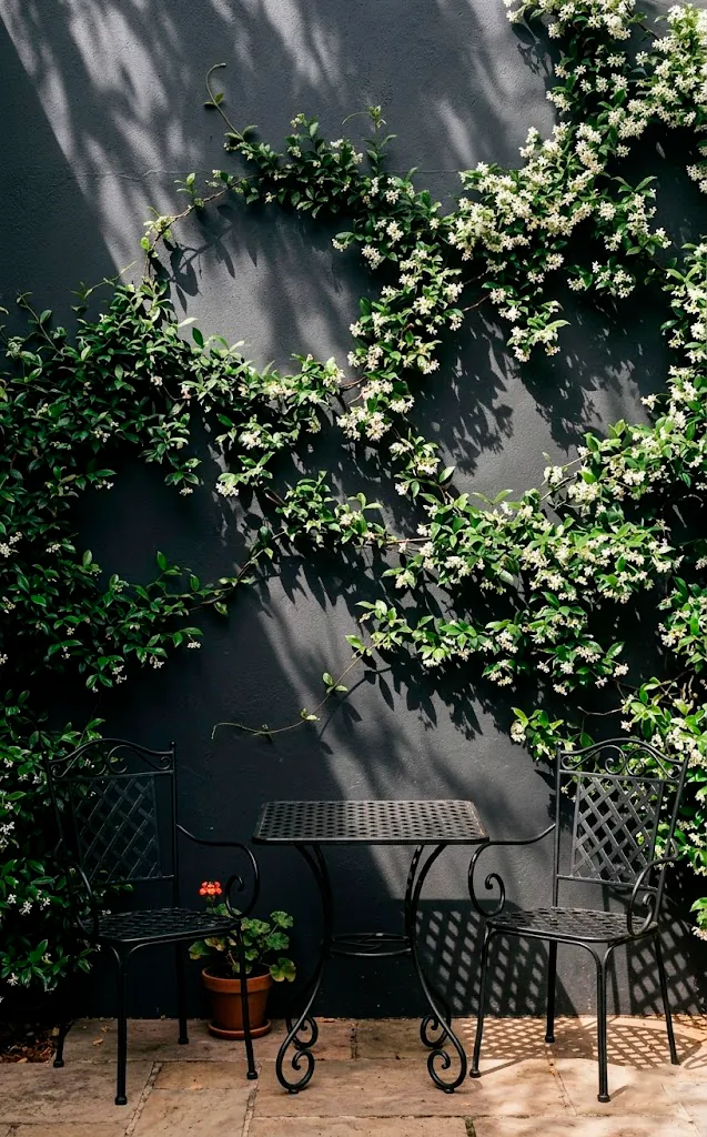 Wrought Iron painted wall with a black bistro set and climbing white jasmine.