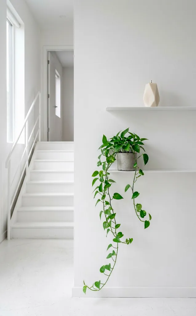 Ultra-thin white floating shelves on a white staircase wall holding a trailing plant and a modern candle.