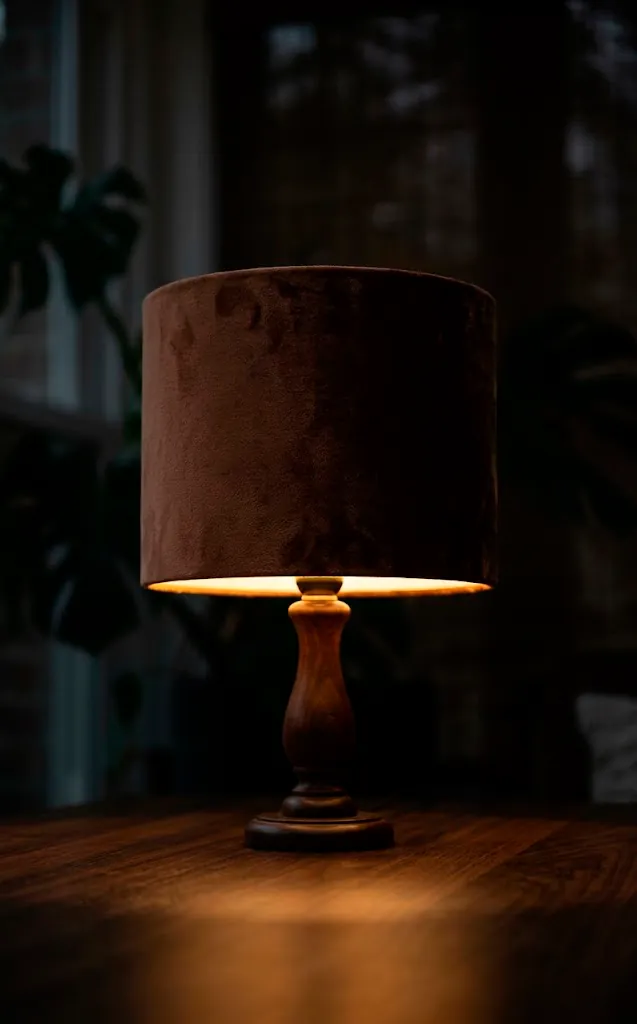 Table lamp with a deep brown velvet shade providing warm, moody lighting in a sunroom.