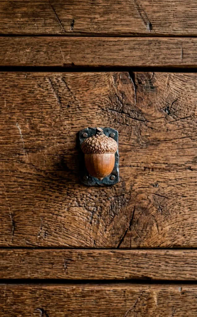 Dresser drawer with a handmade knob crafted from a large natural acorn.